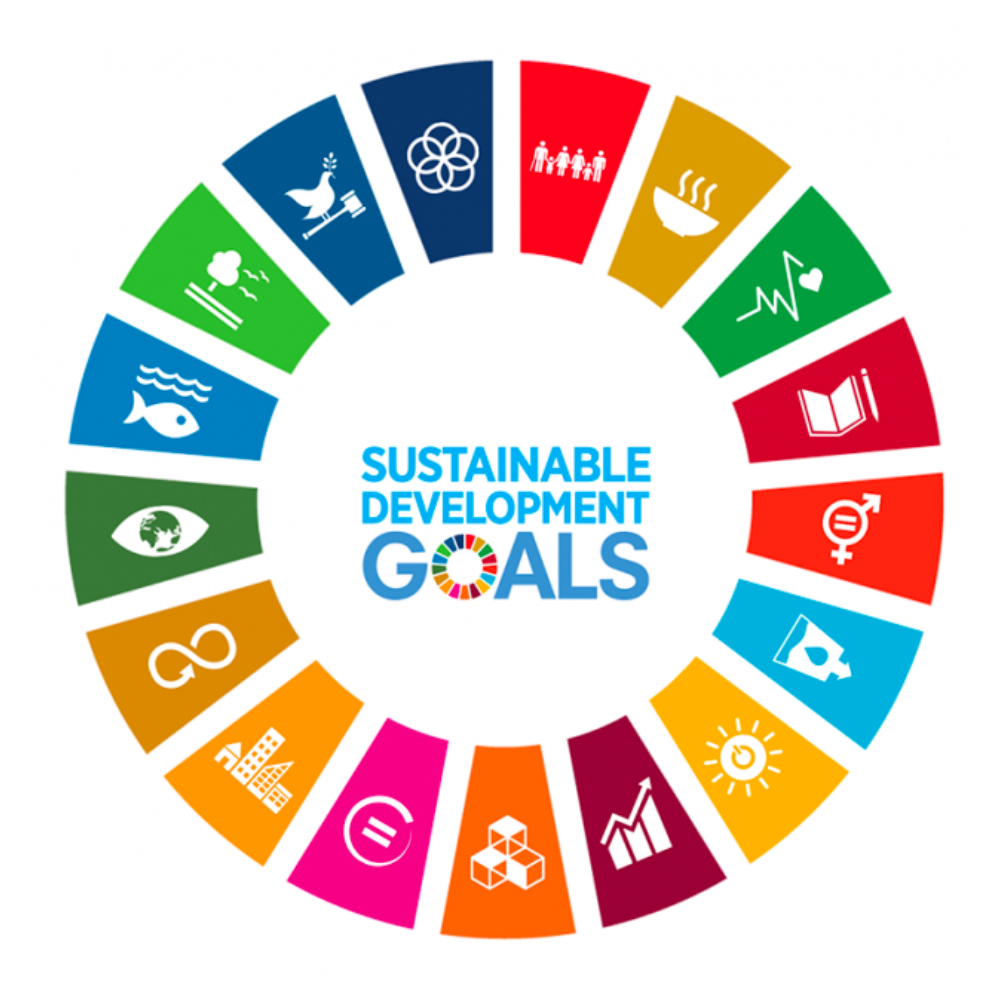 Chi siamo Sustainable Developement Goals
